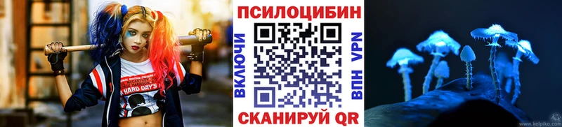 даркнет сайт  Ленинградская  Галлюциногенные грибы Psilocybe 